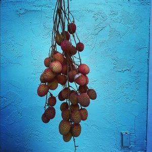 Meet your Posher, Dea